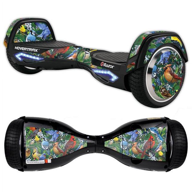 Skin Decal Wrap Compatible With Razor Hovertrax 2.0 Hover Board Backyard Gathering