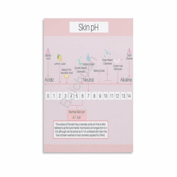 Skin PH Guide Poster Healthy Skin Poster 4 Canvas Painting Wall Art Poster for Bedroom Living Room Decor