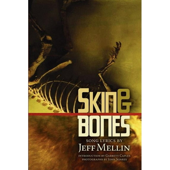 Skin & Bones: Song Lyrics (Paperback)