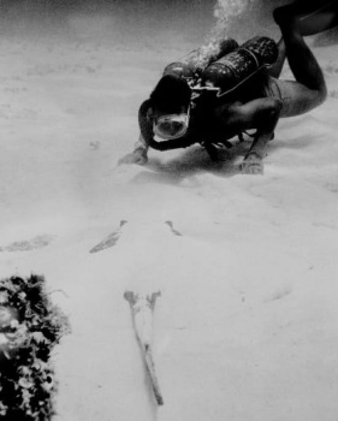 Skin diver looking for buried treasure Canvas Art - (24 x 36)