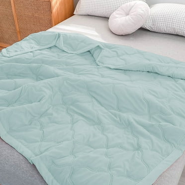 Skin-friendly Plain Quilts for Queen Bed Bedspreads Bedding- Summer Quilt Lightweight Microfiber Bedspread - Coin Pattern Bedding Coverlet for All Season