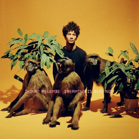 Dreaming Is Dead Now [LP] - VINYL