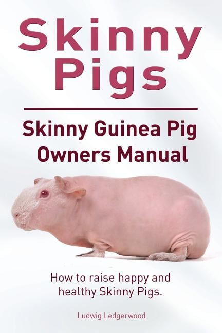 Skinny Skinny Guinea Pigs Owners How to raise happy