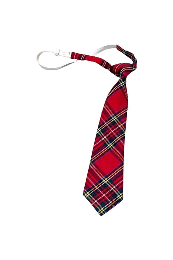 Skinny Tie for Womens, Plaid Necktie Pre Tied Neck Ties for Uniforms JK Graduation Christmas Party