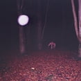 thumbnail image 1 of Buzzard Buzzard Buzzard Skinwalker (Vinyl Record) 12" Album, 1 of 1