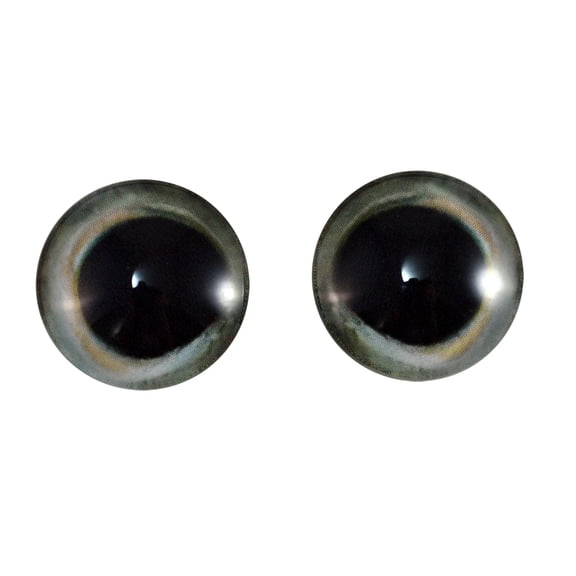 Skipjack Tuna Fish Glass Eyes