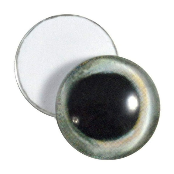 Skipjack Tuna Fish Glass Eyes