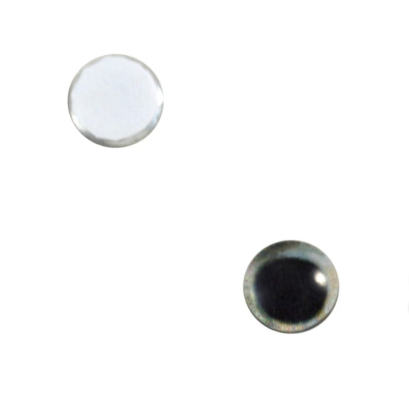 Skipjack Tuna Fish Glass Eyes