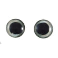 thumbnail image 1 of Skipjack Tuna Fish Glass Eyes, 1 of 6
