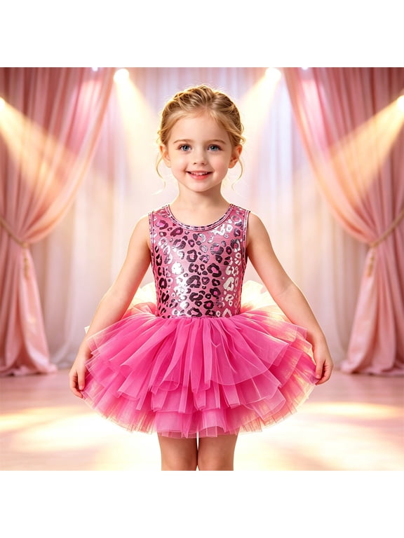 Skirted Ballet Leotards for Girls Sleeveless Crew Neck, Leopard Print Mesh Party Wear Ballet Stage Show Tutu Dress Hot Pink 2-3 Years
