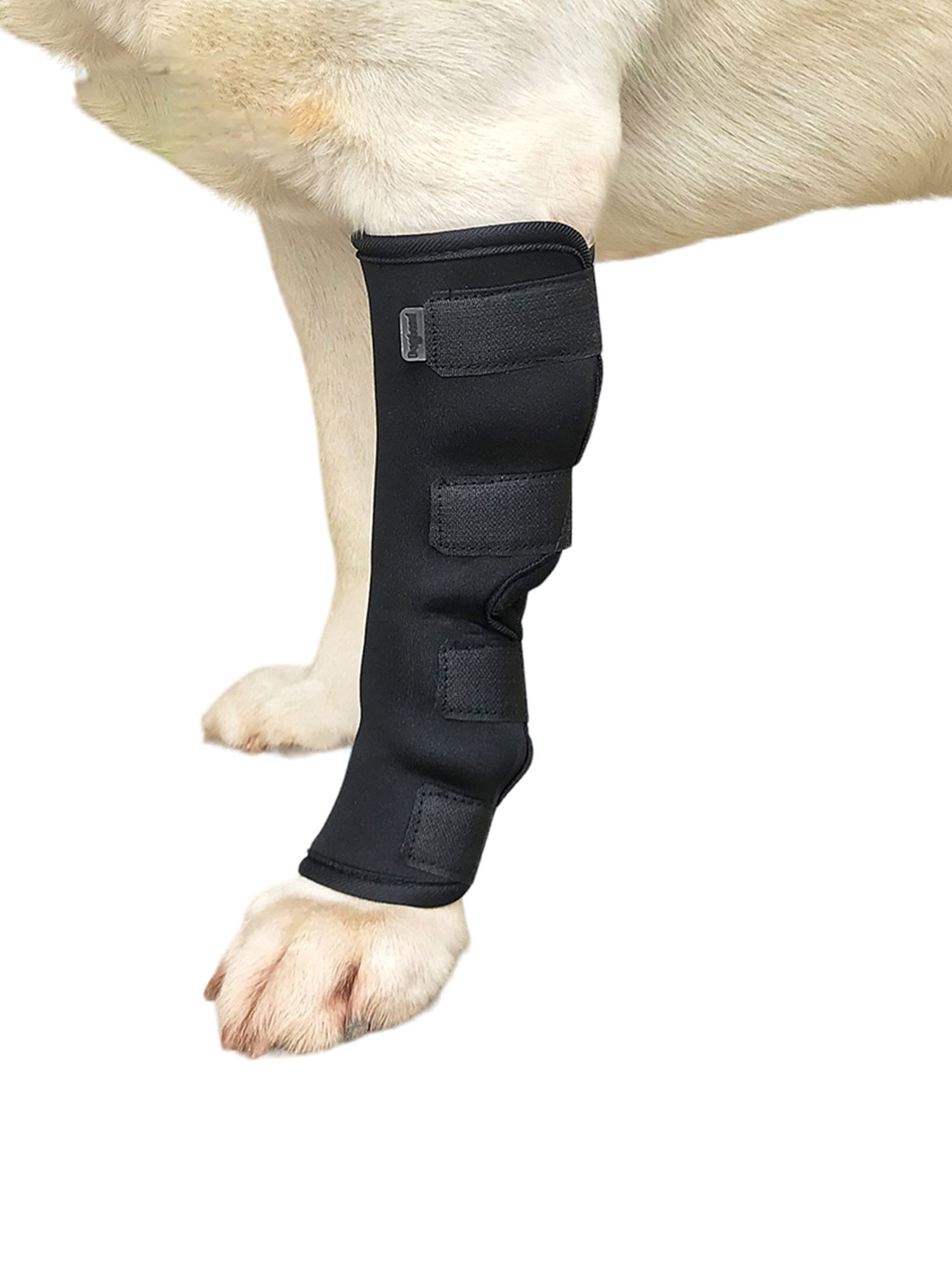 Skksst Dog Hock Joints Support Leg Band Anti Licking Wound Wrap Surgery