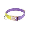 thumbnail image 1 of Skksst Pet Collar Cat Dog Puppy Contrast Color Ajustable Step-in Harness Leash, 1 of 4
