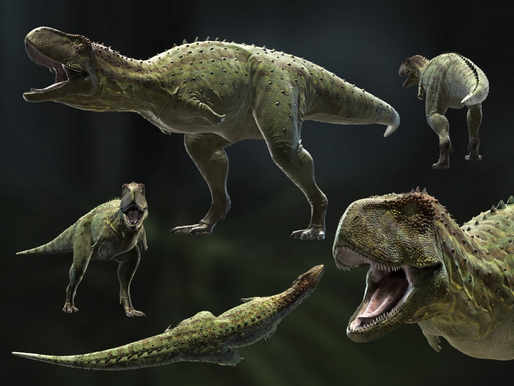 Skorpiovenator bustingorryi a genus of abelisaurid theropod dinosaur Canvas Art - Rodolfo NogueiraStocktrek Images (16 x 12)