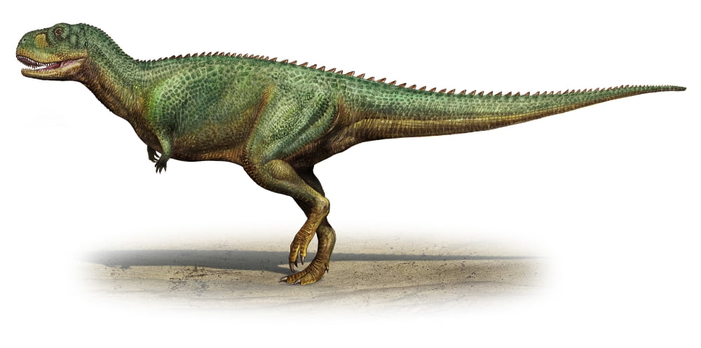 Skorpiovenator bustingorryi a prehistoric era dinosaur Canvas Art - Sergey KrasovskiyStocktrek Images (20 x 10)