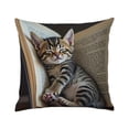 thumbnail image 1 of Sktrjpolfis Cotton Pillowcase 17.7x17.7in Cat Pattern Soft Breathable Cushion Cover for Home Sofa, 1 of 6