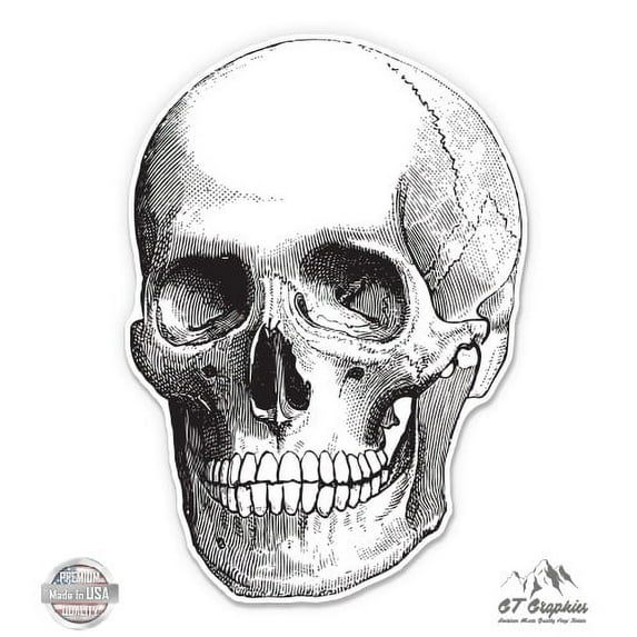 Skull Anatomy - 3" Vinyl Sticker - For Car Laptop I-Pad Phone Helmet Hard Hat - Waterproof Decal