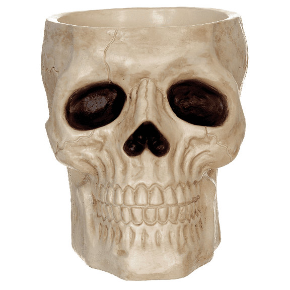 Skull Candy Bowl Halloween Decoration  9.5" Realistic Plastic Skull Dish
