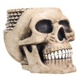 thumbnail image 1 of Skull Coaster Set (6 Coasters) Collectible Skeleton Gothic Decoration, 1 of 5