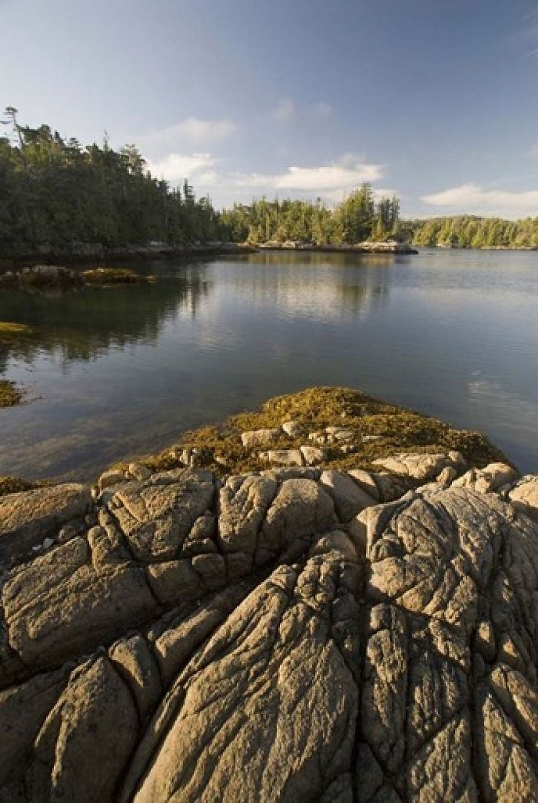 Skull Cove Bramham Island British Columbia Canada Canvas Art - Roddy Scheer DanitaDelimont (24 x 36)