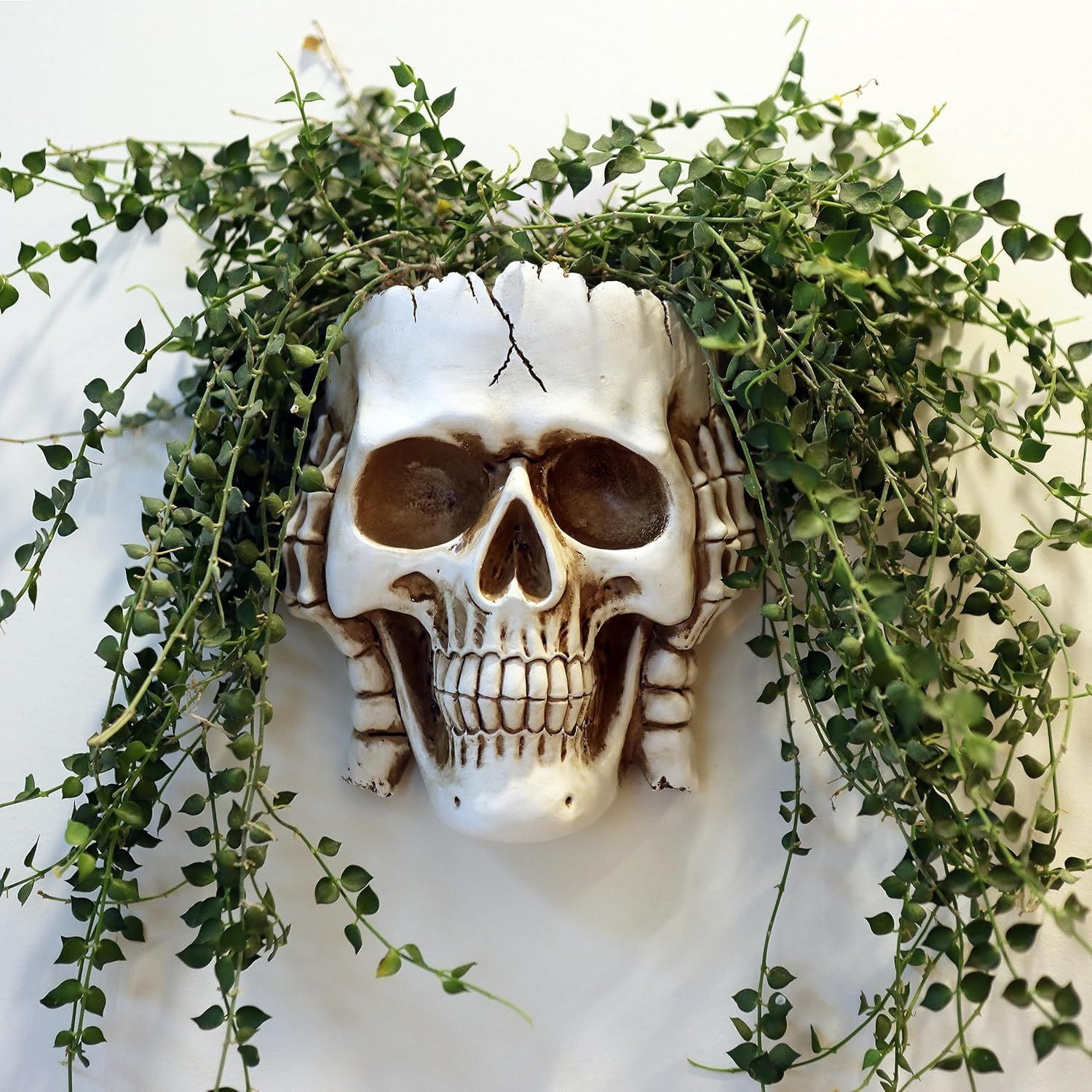 Skull Face Hanging Planter with Drainage Hole for Indoor Outdoor Plants