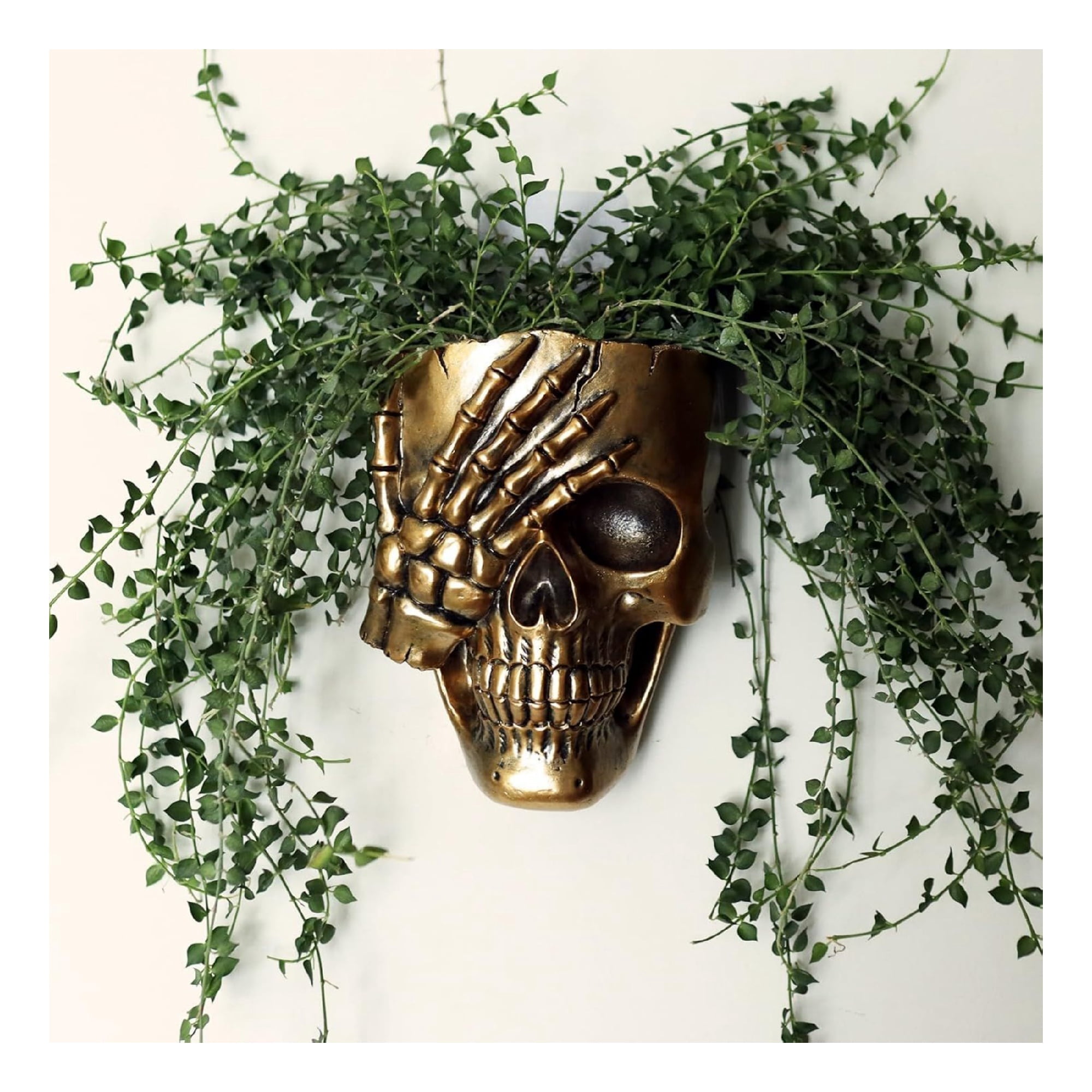 Skull Face Hanging Planter with Drainage Hole for Indoor Outdoor Plants