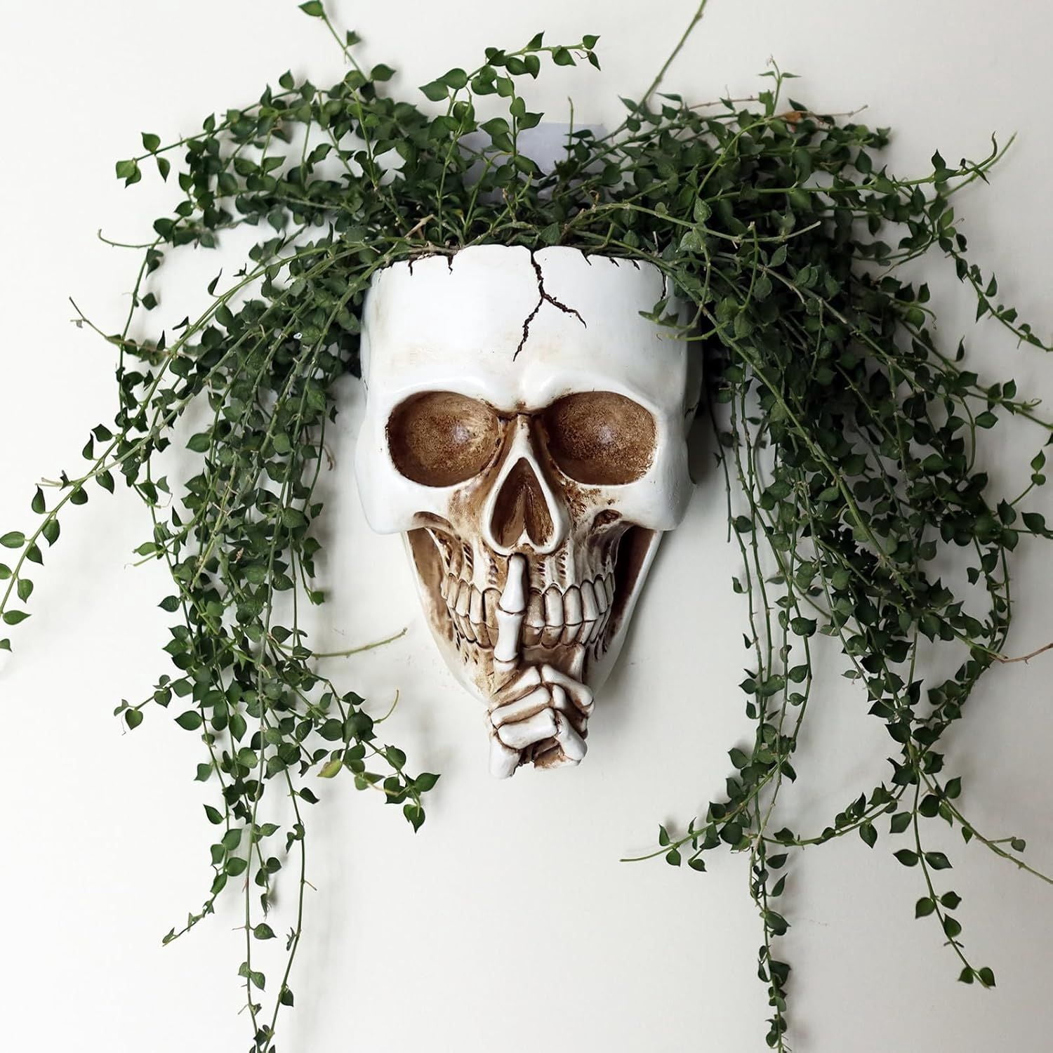 Skull Face Hanging Planter with Drainage Hole for Indoor Outdoor Plants