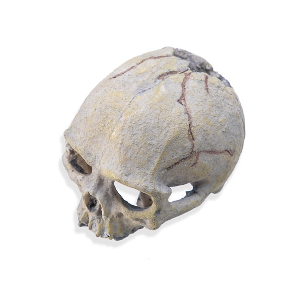 Skull Head Figurine Statue Reptiles Fish Amphibians Hideouts Cave Shelter Aquariums and Terrariums Landscape Decoration