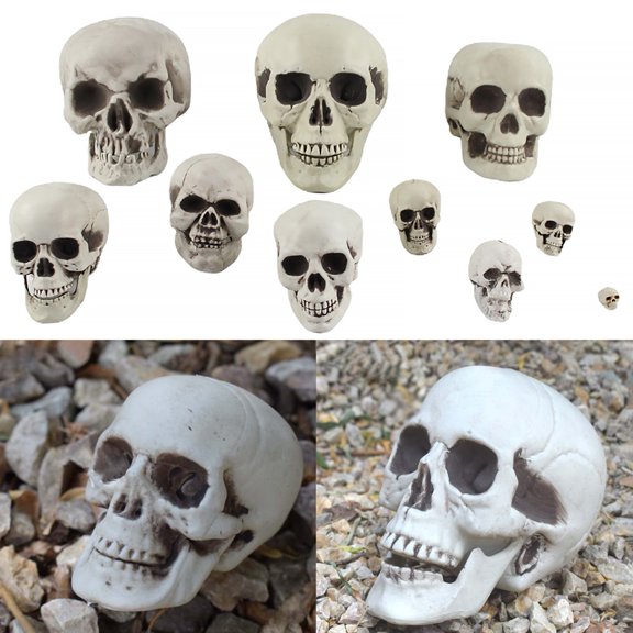 Skull Ornament,Skull Statue Head Bone Model for Decor