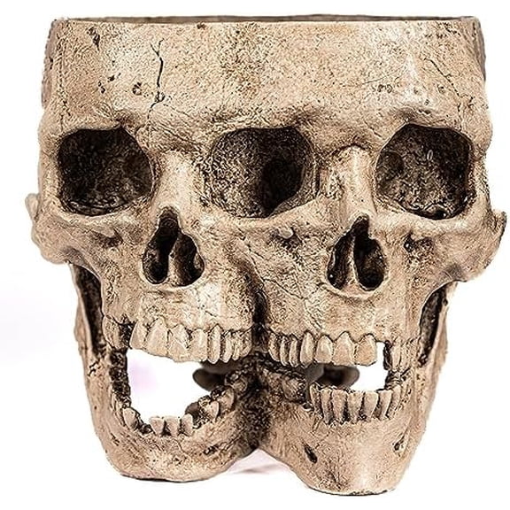 Skull Planter Pot for Indoor Plants - Skull Flower Pot in Gift Box - Gothic Planter Pot for Succulents, Brain Cactus Plants - Double Skull Planters for Halloween, Goth Home Decor$$Garden & Patio