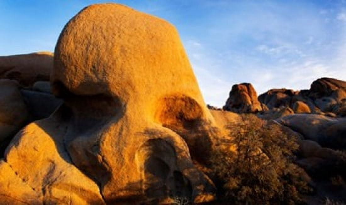 Skull Rock formations Joshua Tree National Park California USA Canvas Art - Panoramic Images (36 x 22)