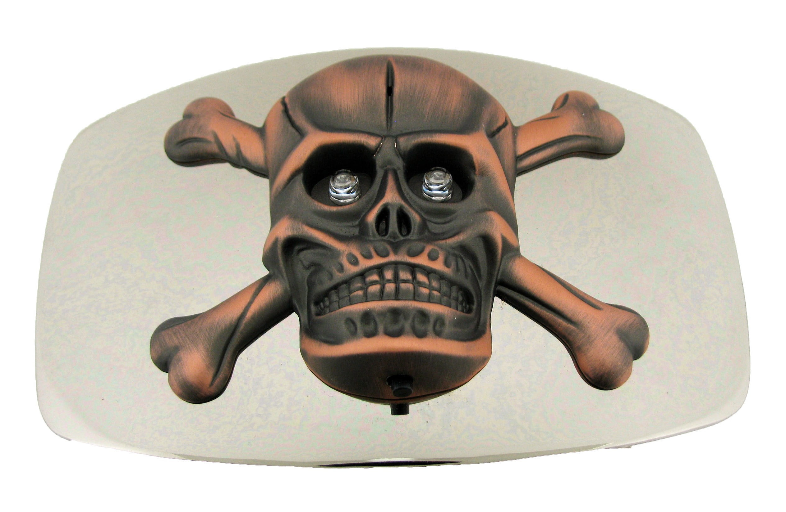 skull and crossbones belt buckle