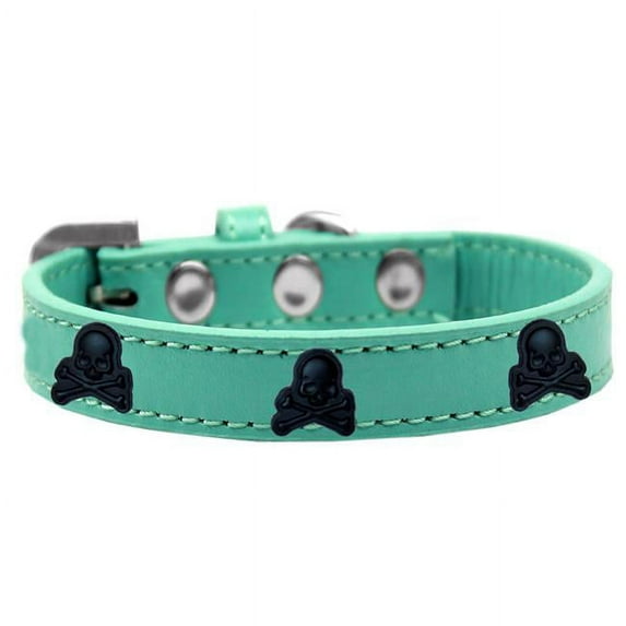 Skull Widget Dog Collar, Aqua - Size 12