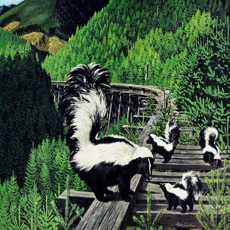 skunk　　F5　　一枚板　座卓 MARM8994 Skunk Family Painting Print - 32x32 Canvas - Walmart.com