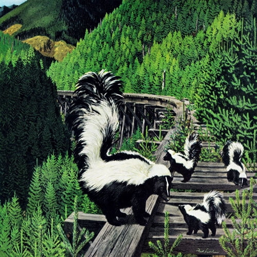 "Skunk Family" Painting Print on Wrapped Canvas