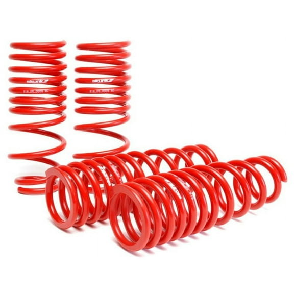 Skunk2 92-95 Honda Civic/Del Sol Lowering Springs (2.50in - 2.25in.) (Set of 4)