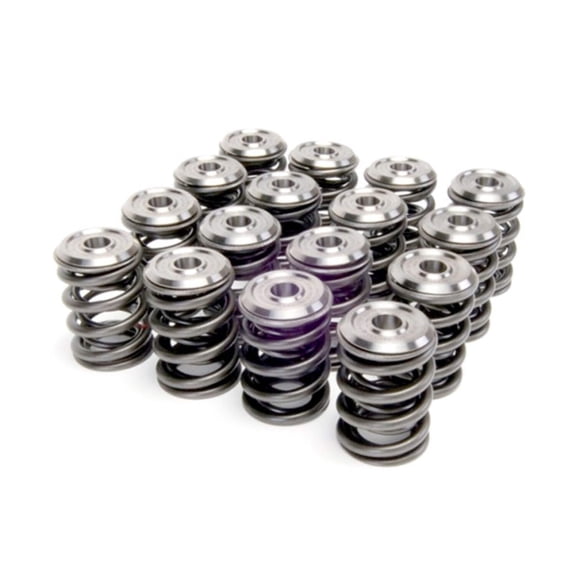 Skunk2 Alpha Series Honda/Acura K Series Valve Spring and Titanium Retainer Kit Fits select: 2002-2009 HONDA CR-V, 2003-2004 HONDA ACCORD