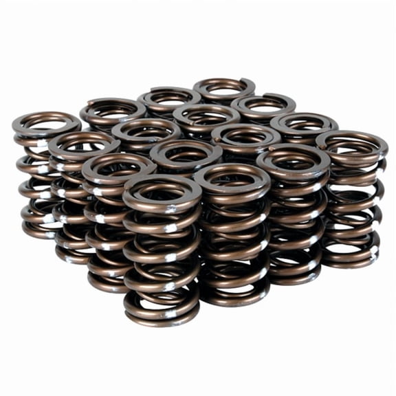 Skunk2 Pro Series Honda/Acura B-Series VTEC XP Valve Spring Set (Dual Springs) Fits select: 2000 HONDA CIVIC SI/SIR, 1999 HONDA CIVIC SI