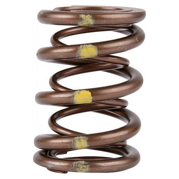 Skunk2 Pro Series Honda/Acura B-Series VTEC XP Valve Spring Set (Dual Springs) Fits select: 2000 HONDA CIVIC SI/SIR, 1999 HONDA CIVIC SI