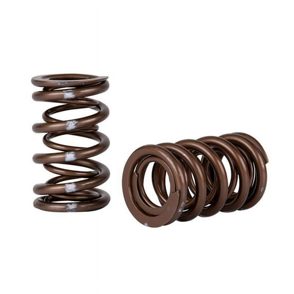Skunk2 Pro Series Honda/Acura K-Series i-VTEC XP Valve Spring Set (Dual Springs) Fits select: 2002-2009 HONDA CR-V, 2003-2004 HONDA ACCORD