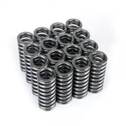 Skunk2 Racing 311 05 1345 Alpha Series Valve Spring Set Fits select 2000 HONDA CIVIC EX, 1997-1998 HONDA CIVIC LX