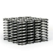Skunk2 Racing 311 05 1345 Alpha Series Valve Spring Set Fits select 2000 HONDA CIVIC EX, 1997-1998 HONDA CIVIC LX
