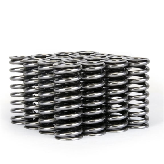 Skunk2 Racing 311 05 1345 Alpha Series Valve Spring Set Fits select: 2000 HONDA CIVIC EX, 1997-1998 HONDA CIVIC LX