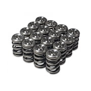 Skunk2 Racing 344 05 1360 Alpha Series Valve Spring And Retainer Kit Fits select 1997-2001 HONDA PRELUDE, 1993-1996 HONDA PRELUDE SR-V