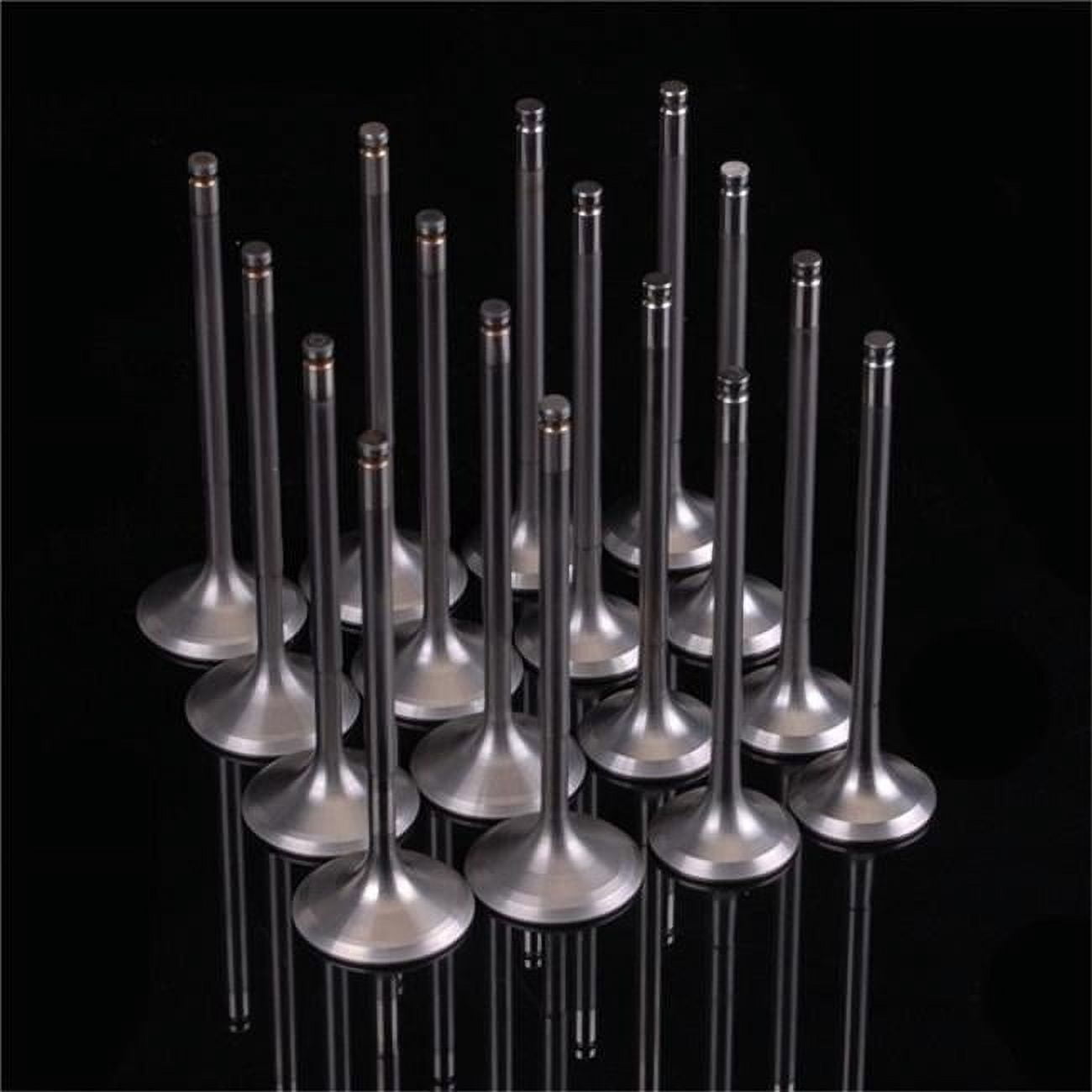Skunk2 Alpha Series Engine Valves - VTEC, HNV3/EV8 Steel, For Honda H-Series (310-05-1400)