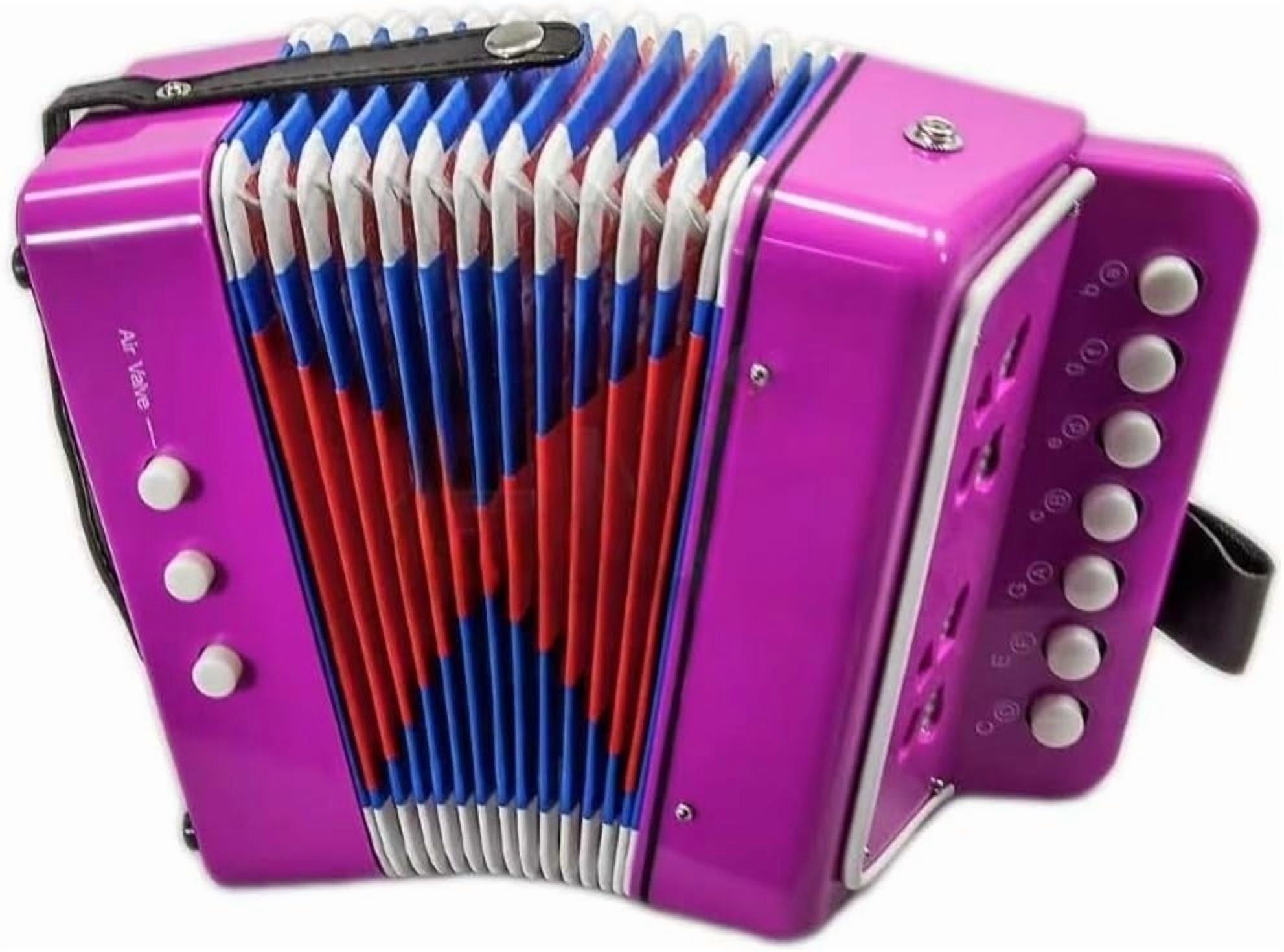 Sky Accordion Hot Pink Pattern 7 Button 2 Bass Music Instrument Easy to ...