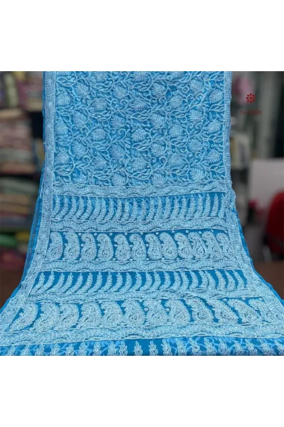 Sky Blue Chikankari Hand Embroidered Saree
