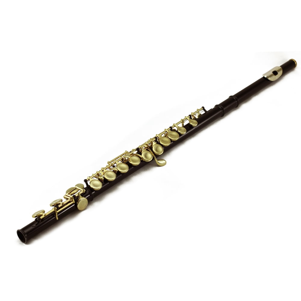 Sky C Flute with Lightweight Case, Cleaning Rod, Cloth, Joint Grease and Screw Driver - Black/Gold Closed Hole
