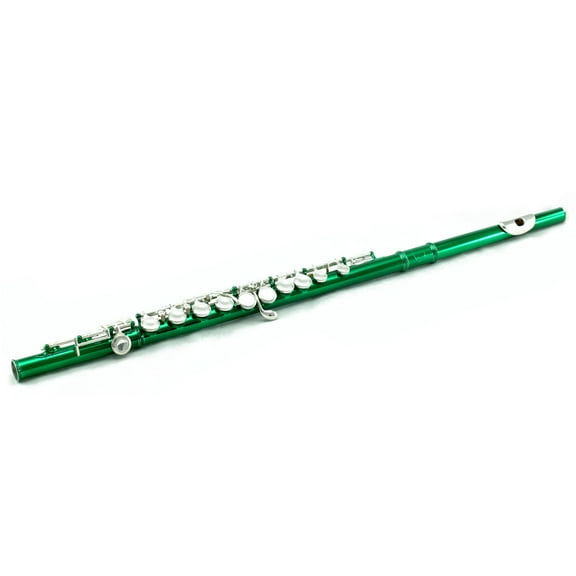 Sky C Flute with Lightweight Case, Cleaning Rod, Cloth, Joint Grease and Screw Driver - Green/Silver Closed Hole