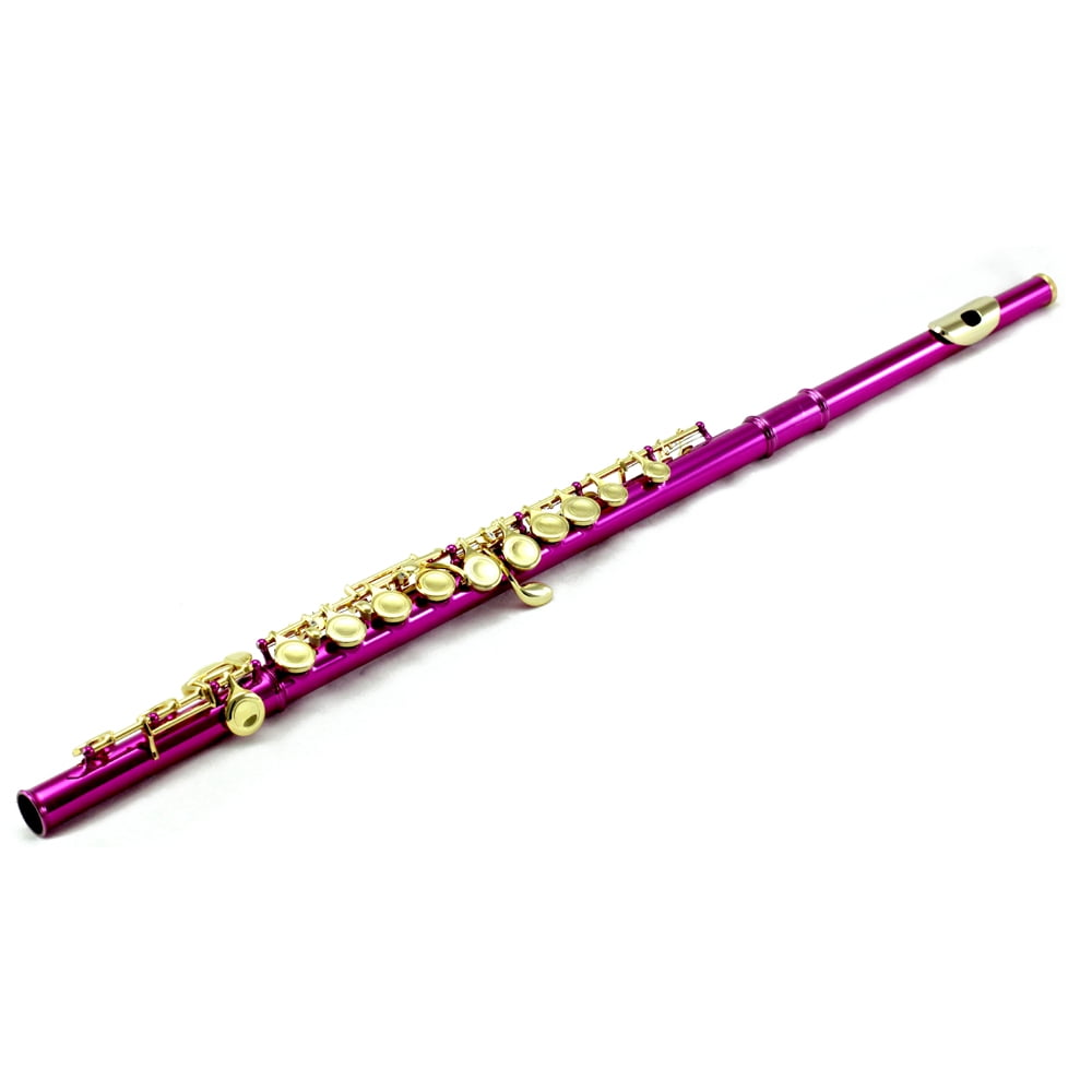 Sky C Flute with Lightweight Case, Cleaning Rod, Cloth, Joint Grease and Screw Driver - Hot Pink/Gold Closed Hole