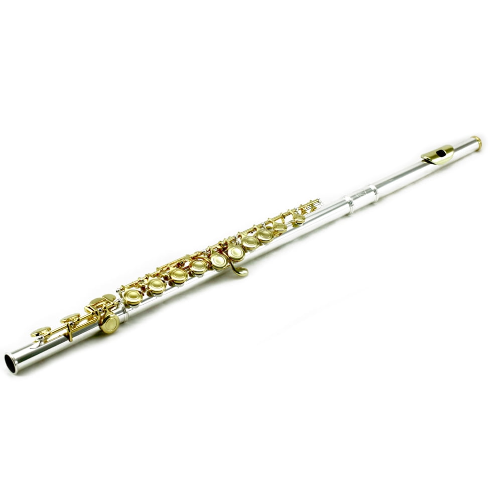 Sky C Flute with Lightweight Case, Cleaning Rod, Cloth, Joint Grease and Screw Driver - Silver/Gold Closed Hole